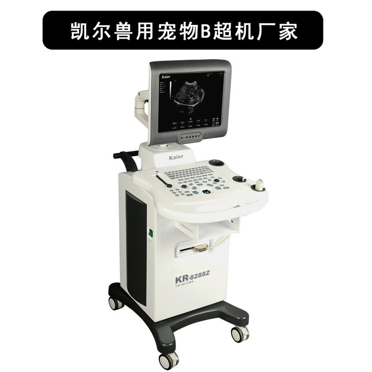 贝尔斯bese 全数字彩色多普勒超声诊断仪 bls-x3 名元实业供应 - 爱企
