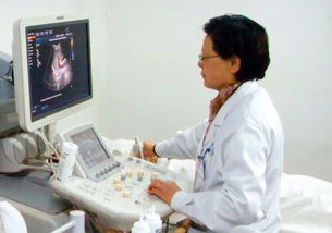 超声诊断学的基础知识及在生殖医学中的应用